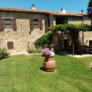 “sterrati” Valpiana (Grosseto)